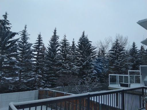 Dalhousie