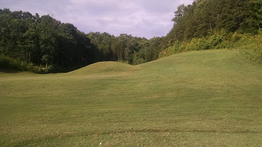 Golf Club «Innsbruck Resort & Golf Club», reviews and photos, 664 Bahn Innsbruck, Helen, GA 30545, USA