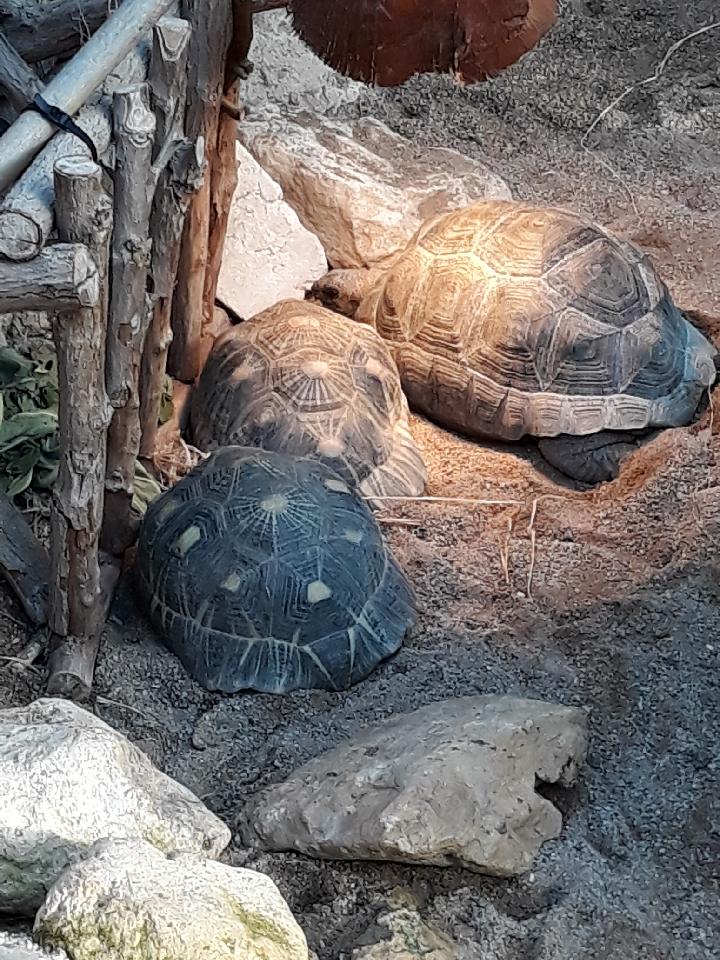 Photo n° 2 de l'avis de lorenzo.l fait le 28/12/2017 à 17:19