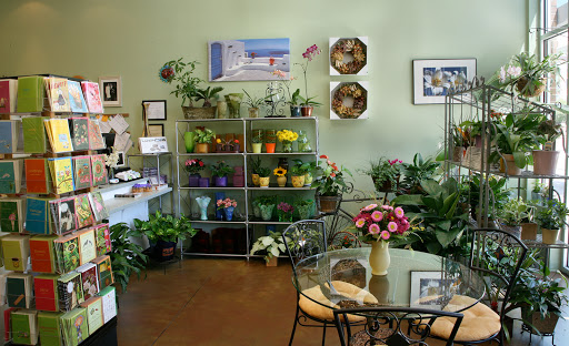 Florist «Texas Blooms and Gifts», reviews and photos, 4616 Triangle Ave #402, Austin, TX 78751, USA