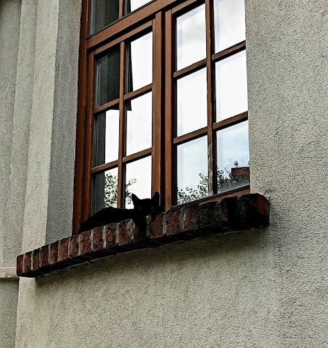 Fa ablak-ajtó szigetelés-korszerűsítés - Bolt