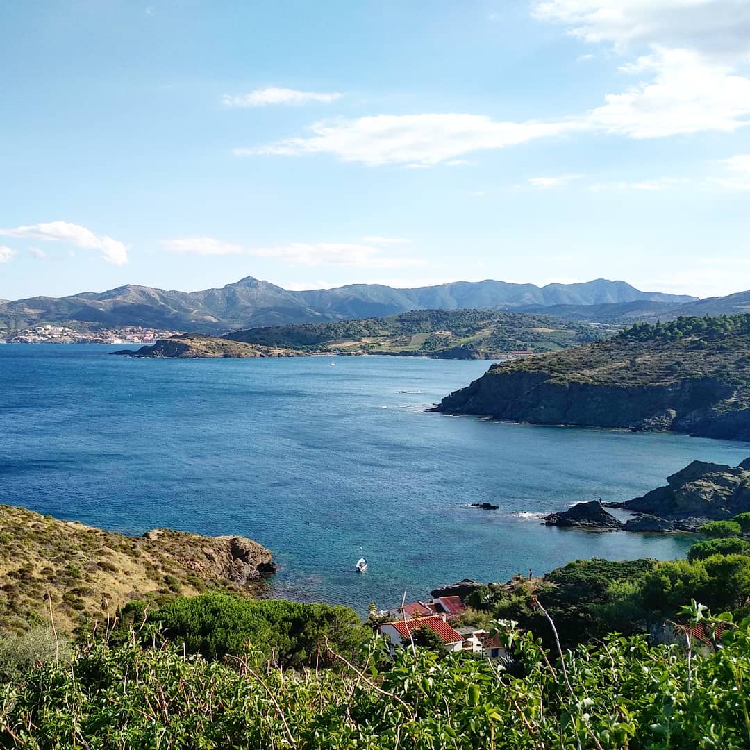 Photo n° 3 de l'avis de TARRAJAT.e fait le 29/07/2019 à 15:33