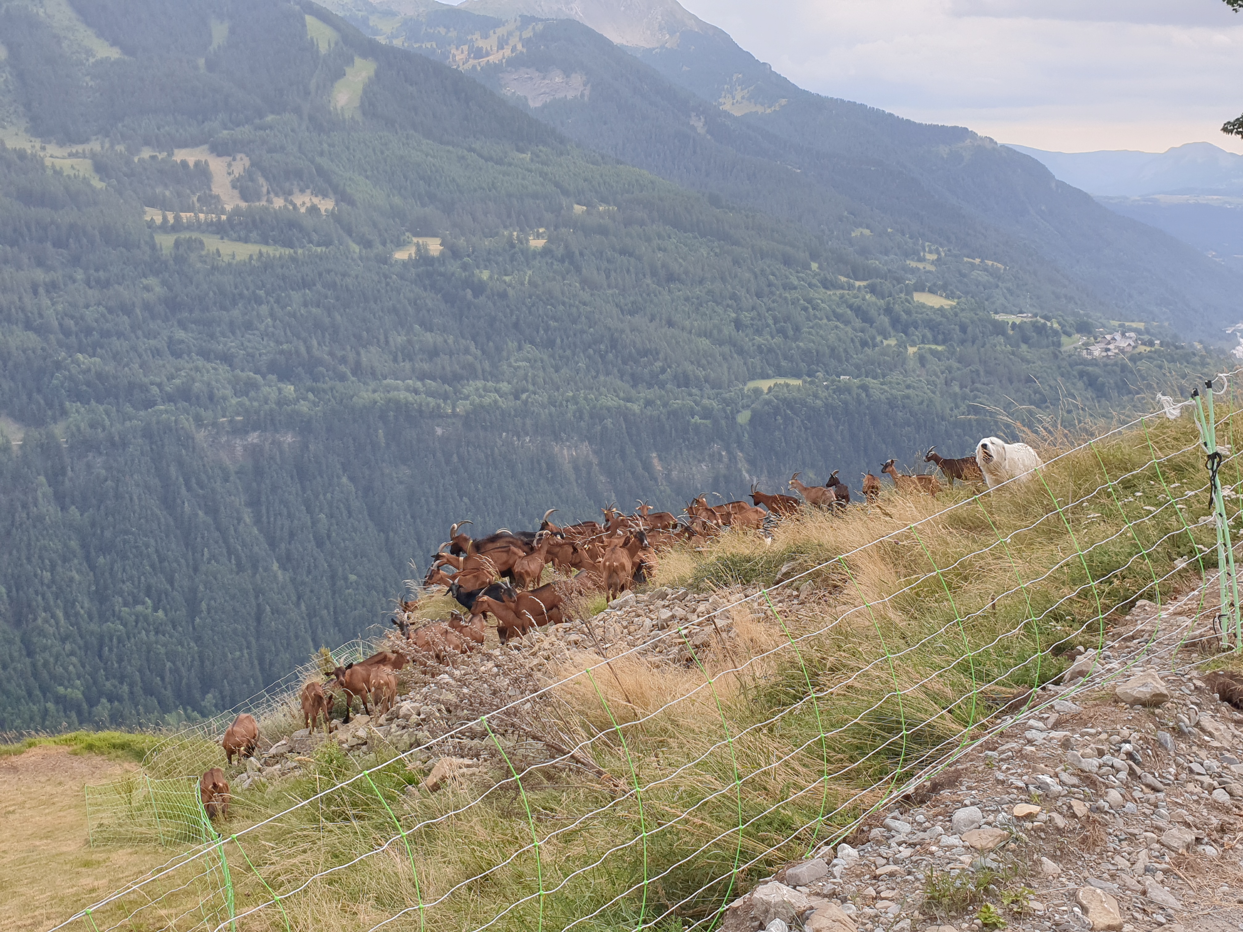 Photo n° 1 de l'avis de François.o fait le 06/08/2022 à 04:38