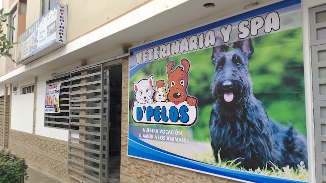 Opiniones de D'Pelos en Trujillo - Veterinario