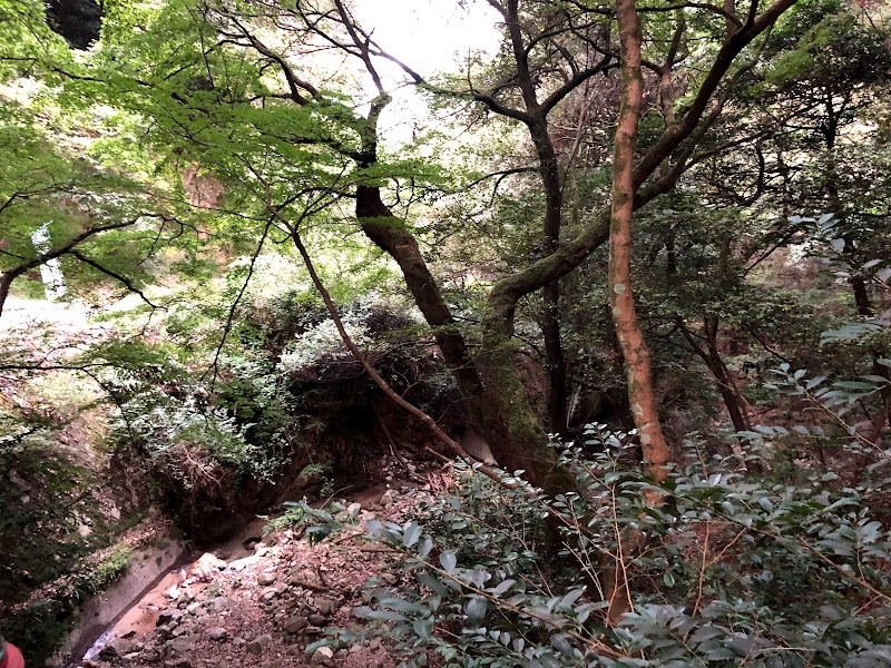 西山興隆寺 三重塔