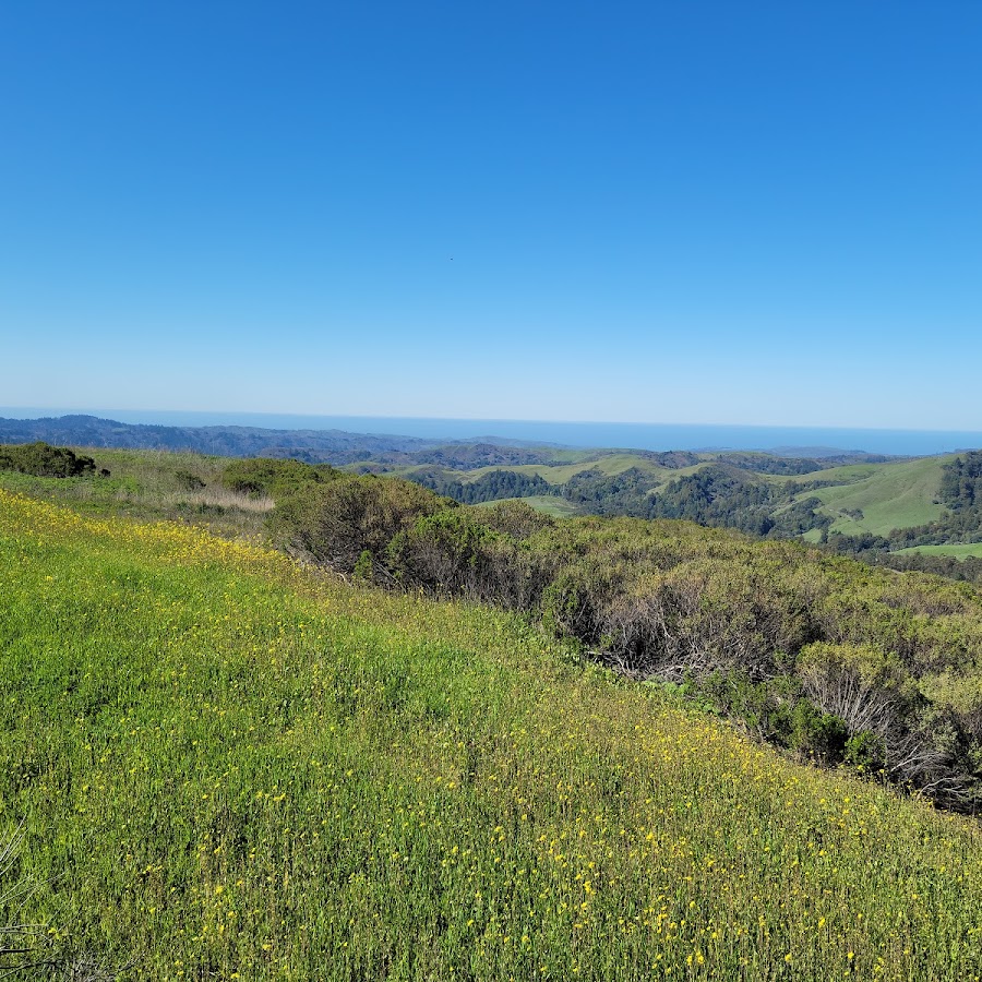 Alpine Trail (Trailhead)