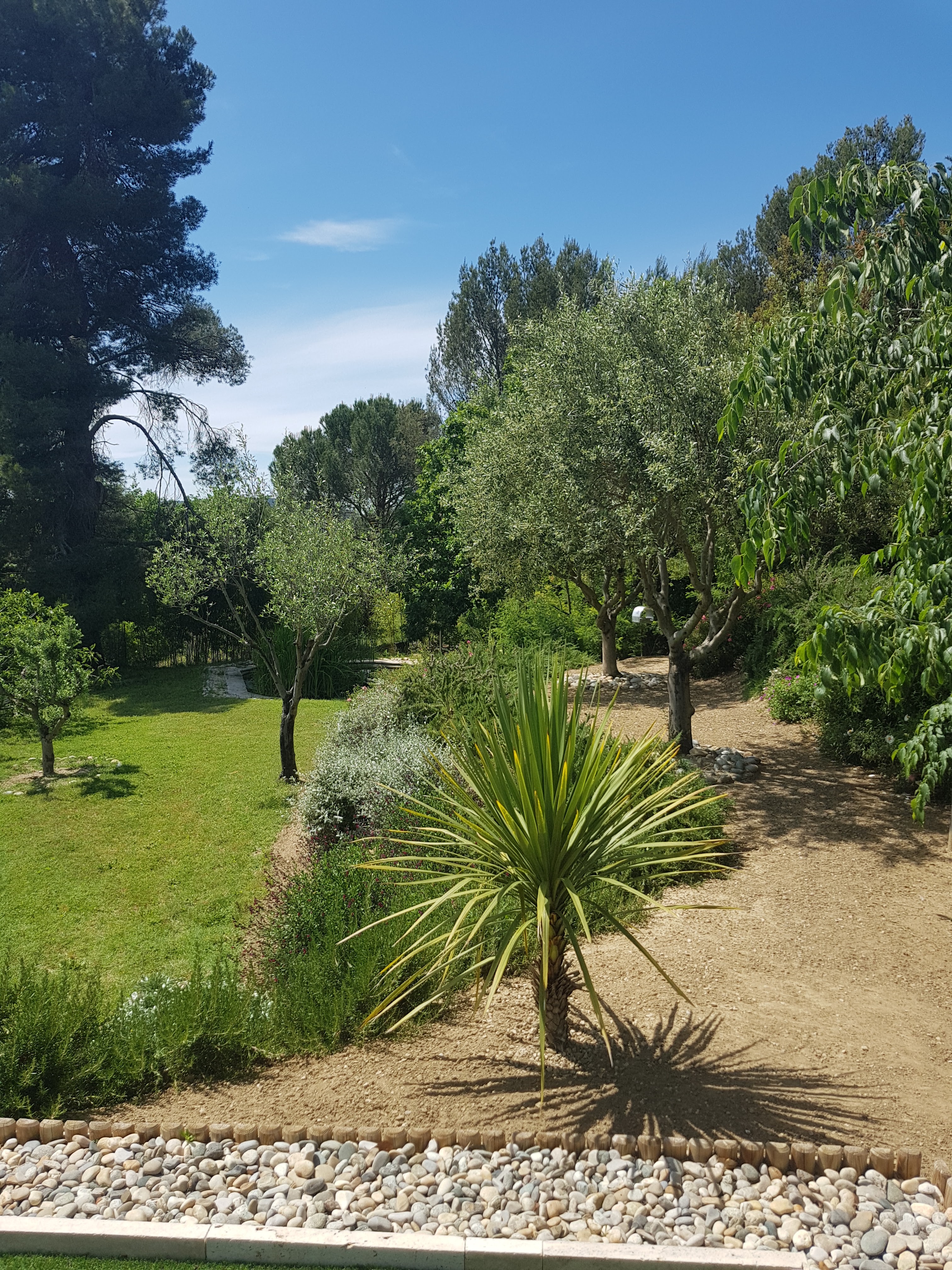 Photo n° 7 de l'avis de Julien.A fait le 29/05/2021 à 19:53
