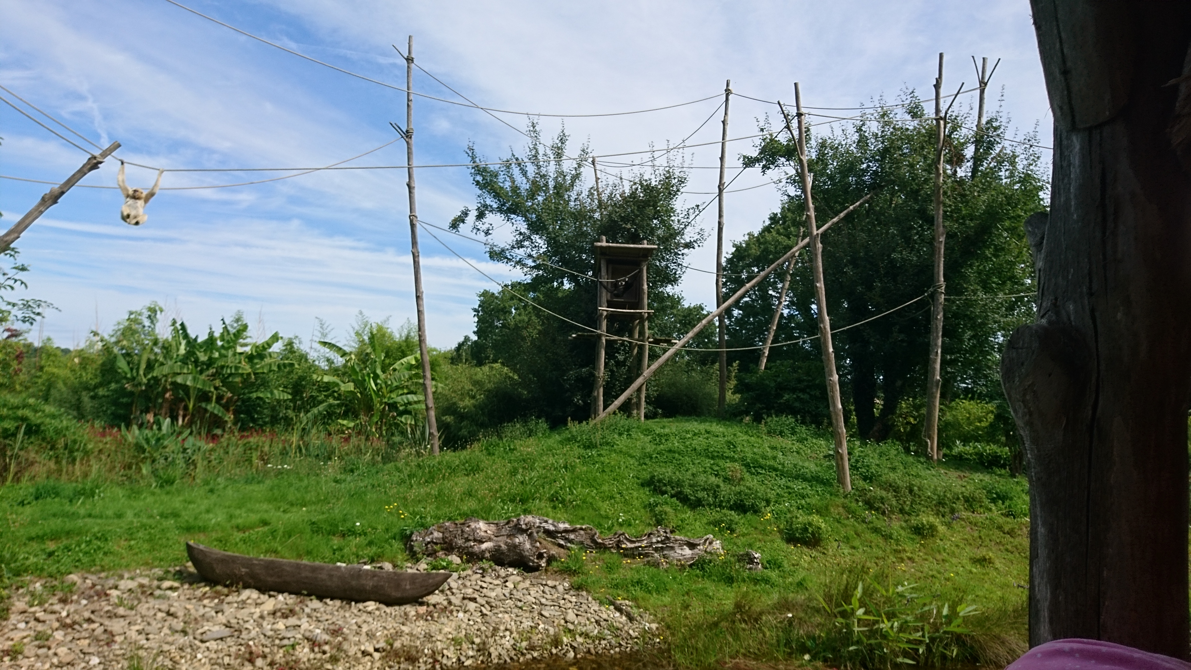 Photo n° 10 de l'avis de Philippe.e fait le 07/08/2017 à 14:04