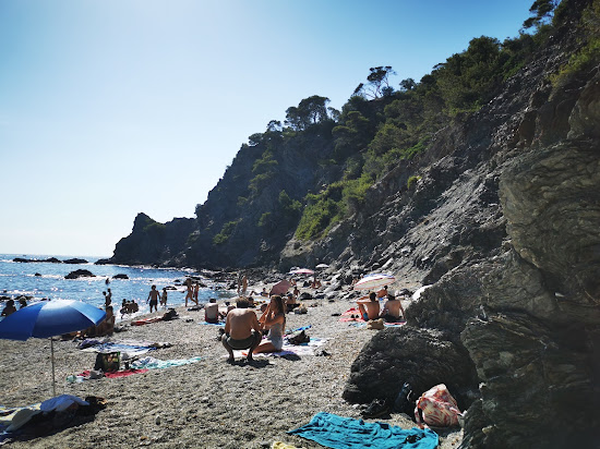 Plage du Mont Salva