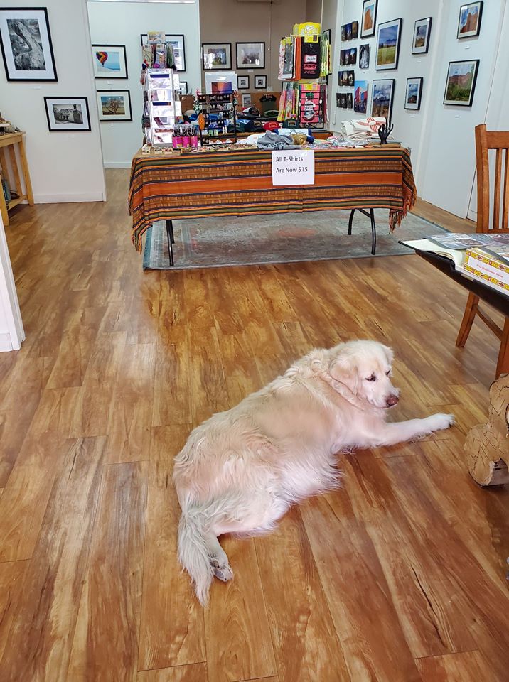 Gila Gallery