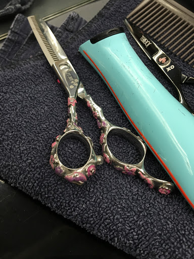 Hair Salon «Great Clips», reviews and photos, 121 Rd 4 #2, Camden, DE 19934, USA