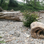 Photo n° 8 de l'avis de Olivier.u fait le 10/05/2018 à 15:21 pour Le Restaurant du Port à Saint-Pierre-de-Bœuf