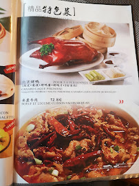 Cuisine chinoise du Restaurant chinois Restaurant Magic Nouilles à Grenoble - n°17