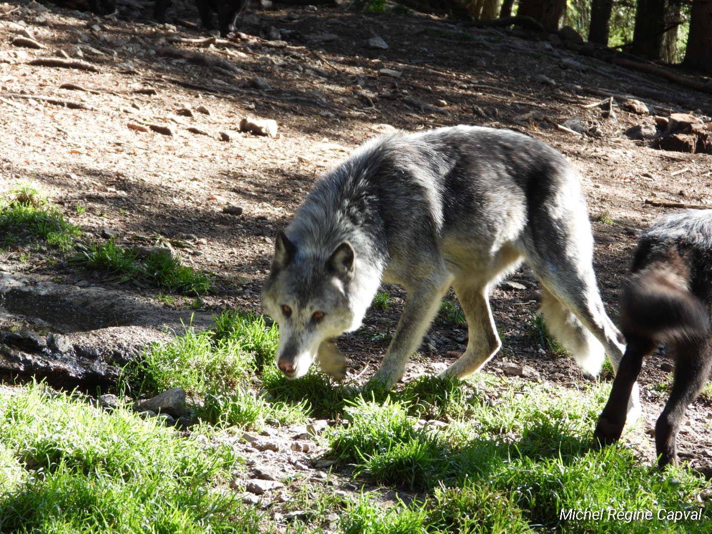 Photo n° 7 de l'avis de michel.a fait le 03/10/2019 à 13:25