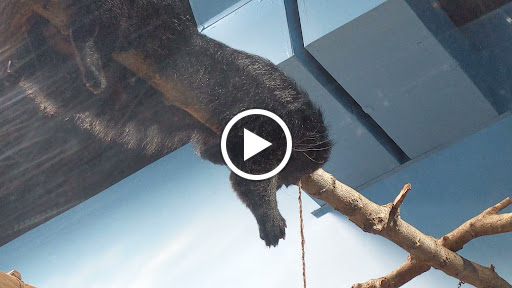 Aquarium «Loveland Living Planet Aquarium», reviews and photos, 12033 Lone Peak Pkwy, Draper, UT 84020, USA