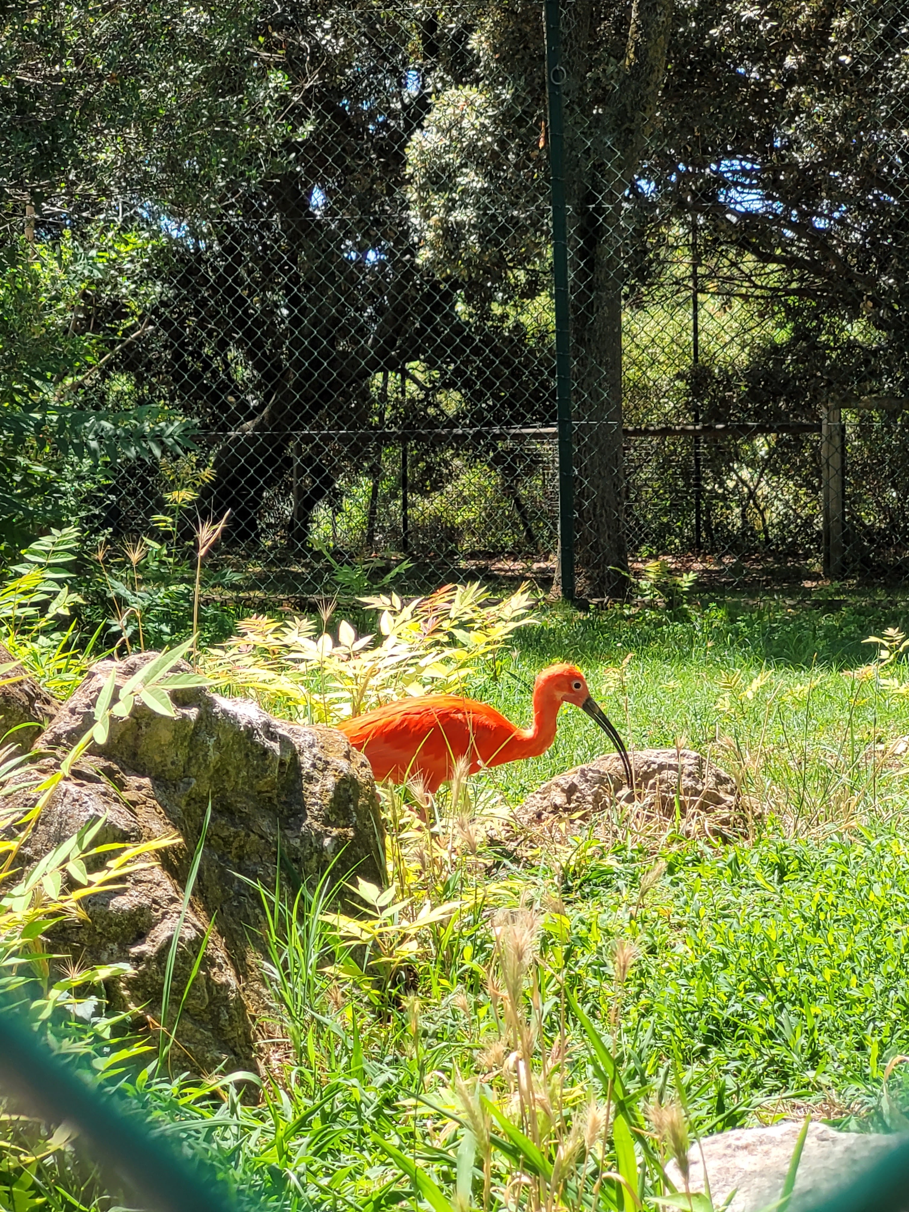 Photo n° 25 de l'avis de Yanis.a fait le 18/07/2022 à 09:06