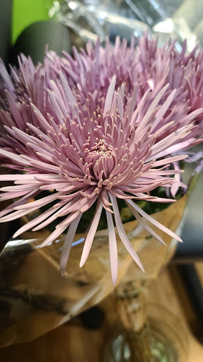 Grocery Store «The Fresh Market», reviews and photos, 2510 Quarry Lake Dr, Baltimore, MD 21209, USA