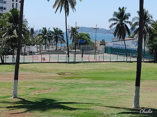 Campo de rugby Acapulco de Juárez