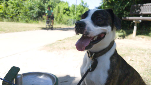 Park «Bob Eden Park», reviews and photos, 901 W Mid Cities Blvd, Euless, TX 76039, USA