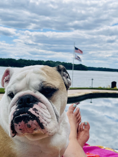 Real Estate Agency «Kim and Lin Logan Real Estate», reviews and photos, 1041 Village Park Dr #204, Greensboro, GA 30642, USA