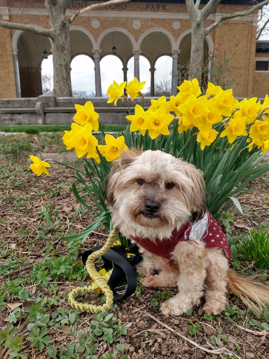 Park «Mt. Echo Park», reviews and photos, 202 Crestline Ave, Cincinnati, OH 45205, USA