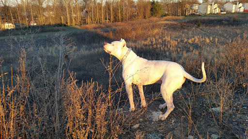Bowling Alley «Burlington Bowl & Recreation Center», reviews and photos, 4486 US-130, Burlington, NJ 08016, USA
