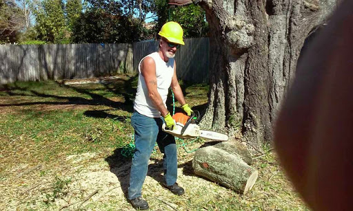 Lee Claxton, ISA Certified Arborist Tree Service