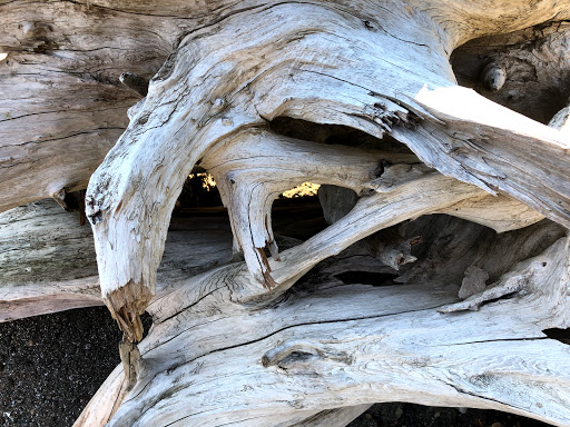 Park «Marine View Park», reviews and photos, 20945 Marine View Dr SW, Normandy Park, WA 98166, USA