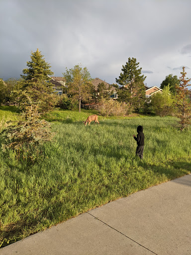 Park «Larkspur Park», reviews and photos, 22551 E Plymouth Cir, Aurora, CO 80016, USA