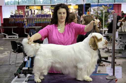 Boutique «Fetching Canine Grooming and Boutique», reviews and photos, 1490 W State Rd 434, Longwood, FL 32750, USA