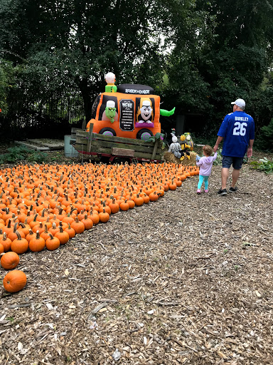 Florist «Blossom Time Florists», reviews and photos, 1868 Victory Blvd, Staten Island, NY 10314, USA