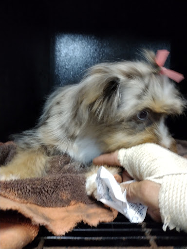 Pet Supply Store «The Dog House», reviews and photos, 4237 S Alameda St, Corpus Christi, TX 78412, USA