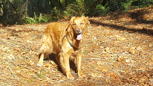 Auto Repair Shop «Southend Auto Care», reviews and photos, 8318 Pacific Hwy E, Tacoma, WA 98422, USA