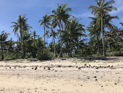 Zdjęcie Gugma Beach położony w naturalnym obszarze