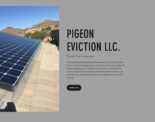 Pigeon Eviction