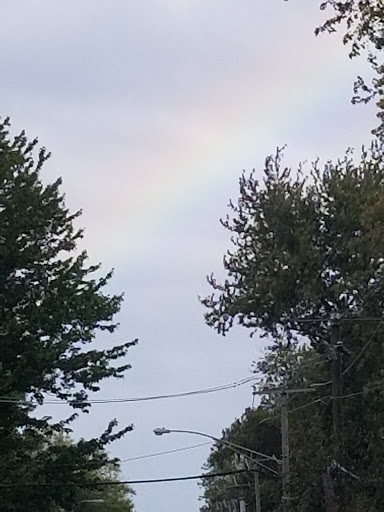 Auto Parts Store «Advance Auto Parts», reviews and photos, 844 E Sibley Blvd, Dolton, IL 60419, USA