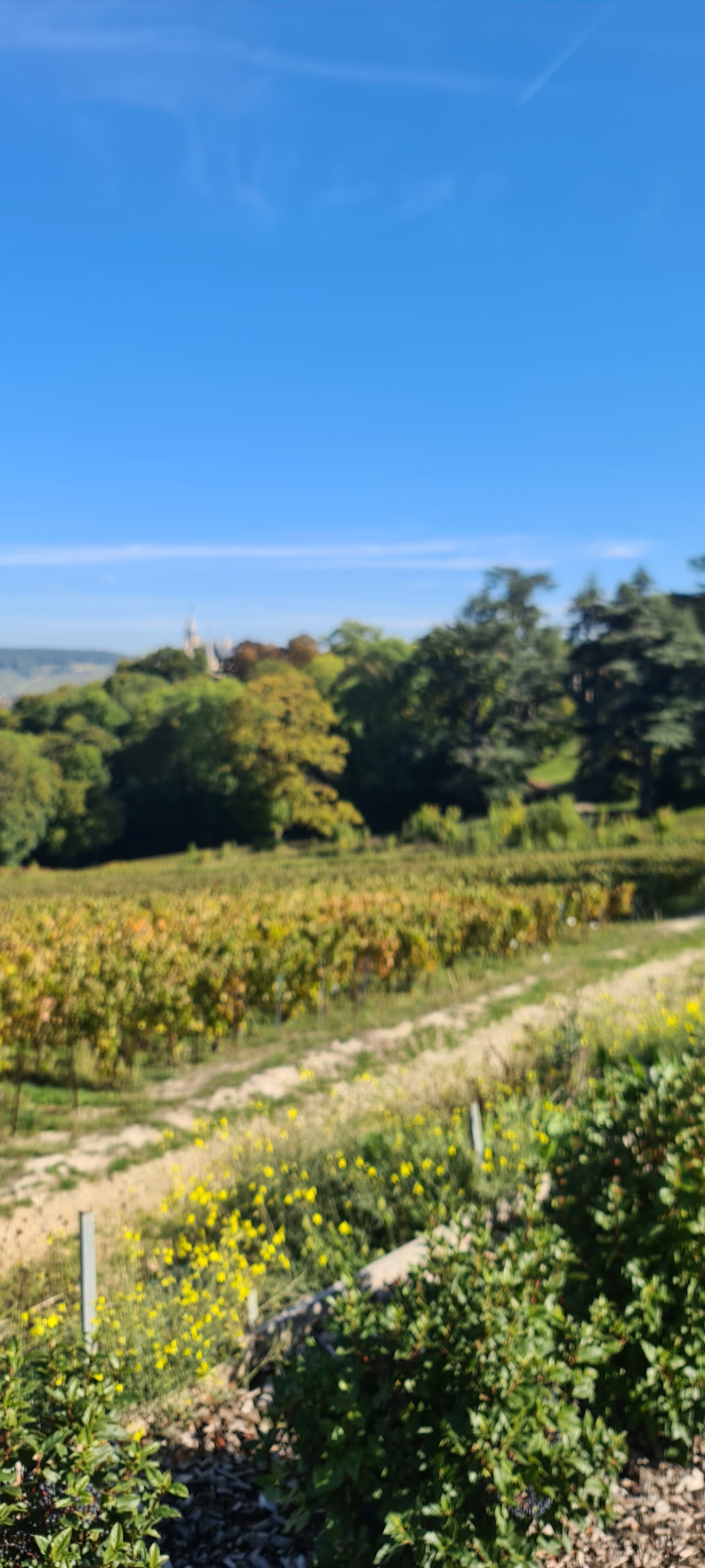 Photo n° 7 de l'avis de V... fait le 04/10/2022 à 16:31