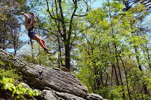 Screaming Eagle Aerial Adventures at DeSoto Falls State Park image