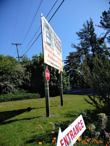 Tourist Attraction «Klamath Tour Thru Tree», reviews and photos, 430 California 169, Klamath, CA 95548, USA