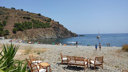 Φωτογραφία του Peyrefite beach με #43