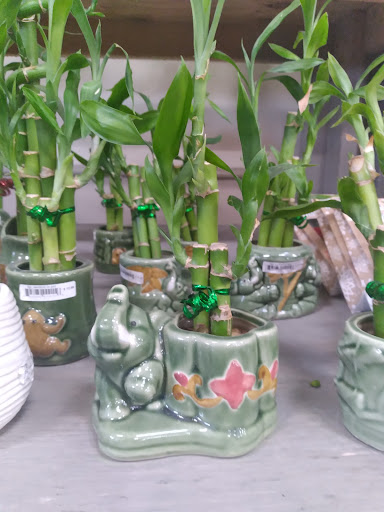 Grocery Store «H-E-B Grocery», reviews and photos, 107 N Sunset Strip St, Kenedy, TX 78119, USA