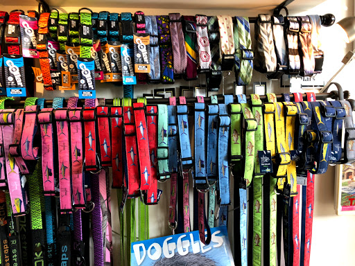 Pet Supply Store «Silly Willies», reviews and photos, 218 Flagler Ave, New Smyrna Beach, FL 32169, USA