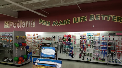 Pet Store «Petland Plano», reviews and photos, 1301 Custer Rd #405, Plano, TX 75075, USA