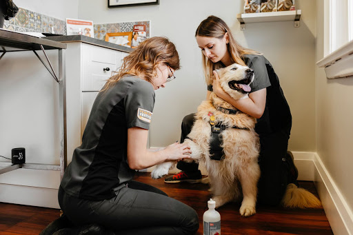 Doncaster Animal Clinic image