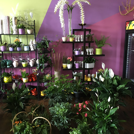 Florist «Flower Jazz», reviews and photos, 1862 Auburn Rd #106, Dacula, GA 30019, USA