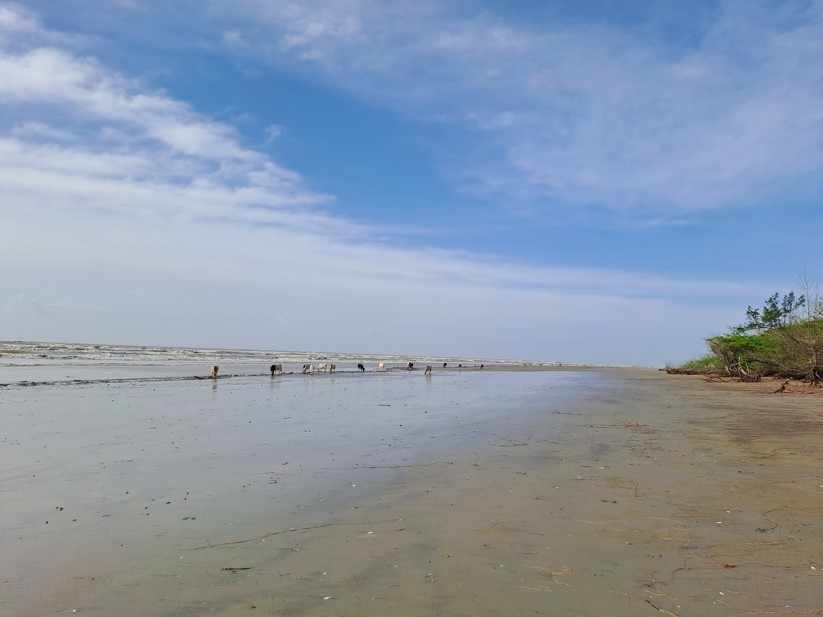 Foto de Henry's Island Sea Beach con recta y larga