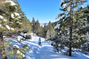 Galena Creek Visitor Center image