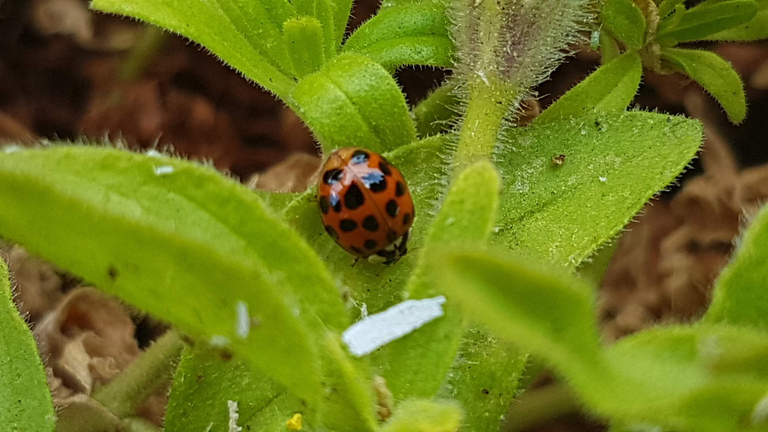 Photo n° 1 de l'avis de Julien.L fait le 03/08/2018 à 12:29