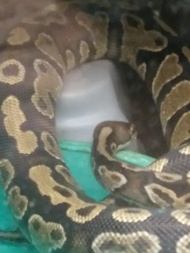 Pet Store «Animal House», reviews and photos, 646 SW 4th St, Corvallis, OR 97333, USA