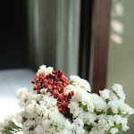 Photo n°7 de l'avis de shuyin.e fait le 21/06/2017 à 21:25 sur le  Cafeína à Porto